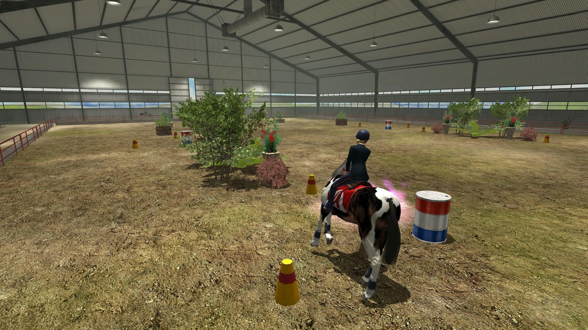 Riding Club Championships